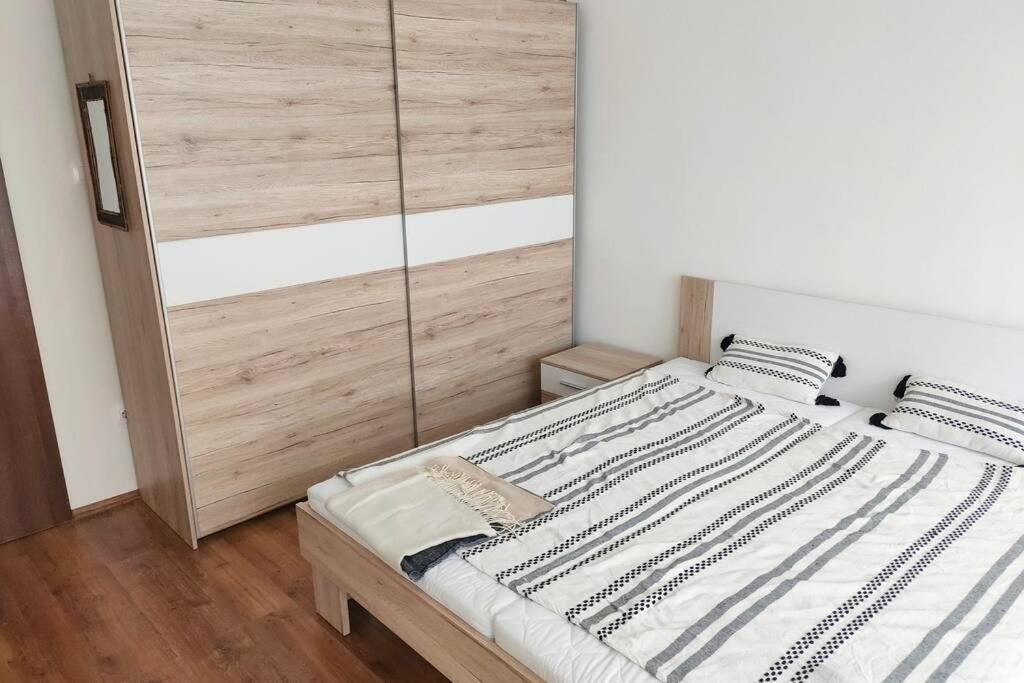 Plaza Apartman - City Center, Free Parking, Free Wifi Debrecen Extérieur photo